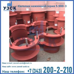 Сальники нажимные серия 5.900-3 в Воронеже